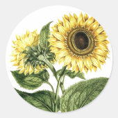 Sticker Heirloom Zonnebloem Botanische Bloembloem (Voorkant)