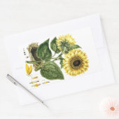 Sticker Heirloom Zonnebloem Botanische Bloembloem (Envelop)