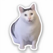 Sticker Huh Cat Meme (Voorkant)