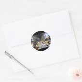 Sticker Jewels (Envelop)