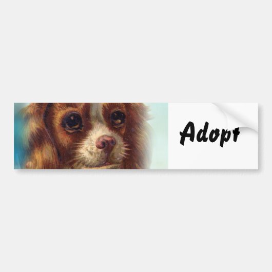 Sticker Katje Hond Adopteren (Voorkant)