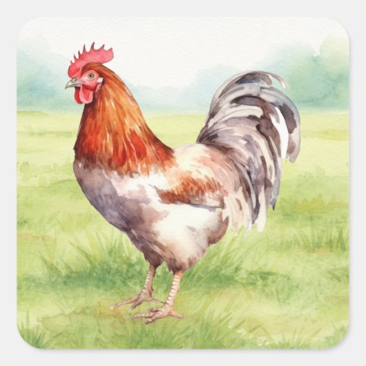 Sticker Kippenboerderij (Voorkant)