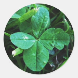 Sticker-klaver Ronde Sticker