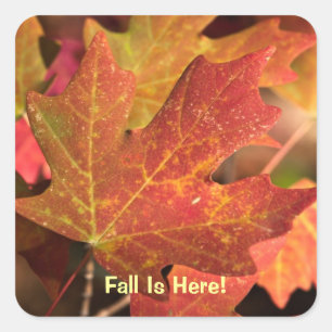 Sticker: kleuren van Herfst (vierkant) Vierkante Sticker