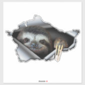 Sticker Koala autowrakken sticker Koala (Vel)