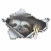 Sticker Koala autowrakken sticker Koala (Voorkant)