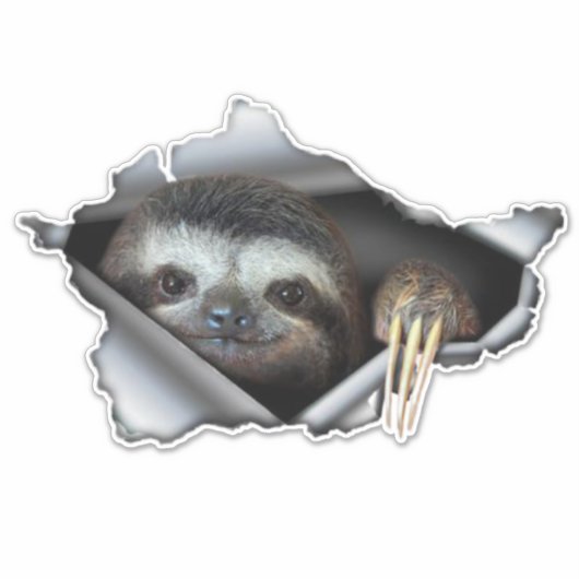 Sticker Koala autowrakken sticker Koala (Voorkant)