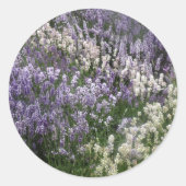 Sticker Lavender Fields opnieuw instellen (Voorkant)