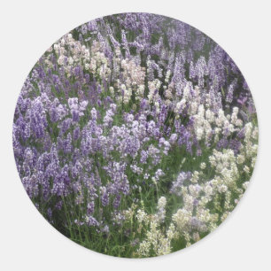 Sticker Lavender Fields opnieuw instellen