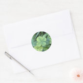 Sticker leaf clover (Envelop)
