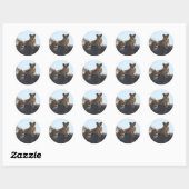 Sticker leeuw (Vel)
