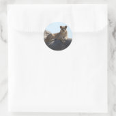 Sticker leeuw (Tas)