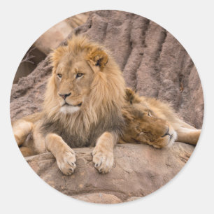 Sticker leeuw