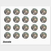 Sticker leeuw (Vel)