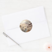 Sticker leeuw (Envelop)