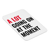 Sticker Magneet (Rechterzijde)