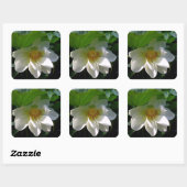 Sticker met delicate witte Lotus Flower (Vel)