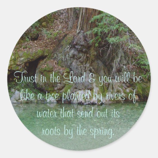 Sticker met foto van boom door een rivier (Voorkant)