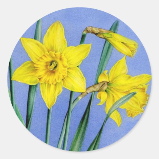 Sticker met geel geverfde bloem, voorlenteslaffodi (Voorkant)