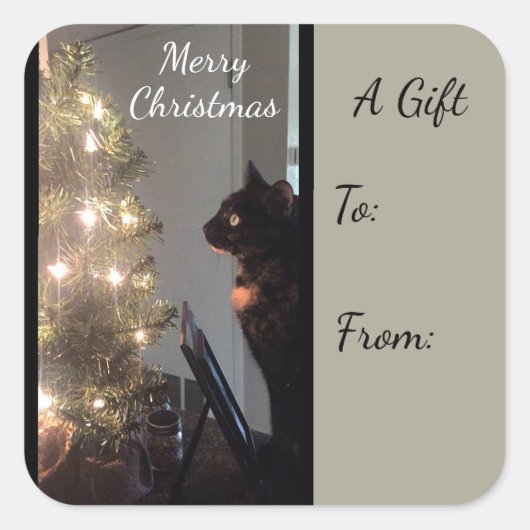 Sticker met kerstcadeau voor Calico Cat Gift (Voorkant)
