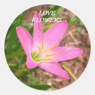 Sticker met natuur-gerelateerd bericht