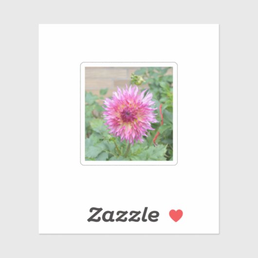 Sticker met roze dahlia (Vel)