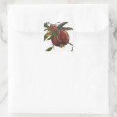 Sticker met vintage waterverf granaatappel botanis (Tas)