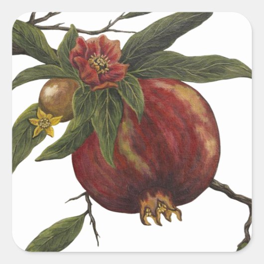 Sticker met vintage waterverf granaatappel botanis (Voorkant)