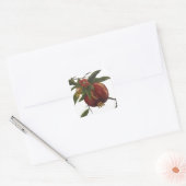 Sticker met vintage waterverf granaatappel botanis (Envelop)