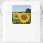 Sticker met zonnebloemveld (Tas)