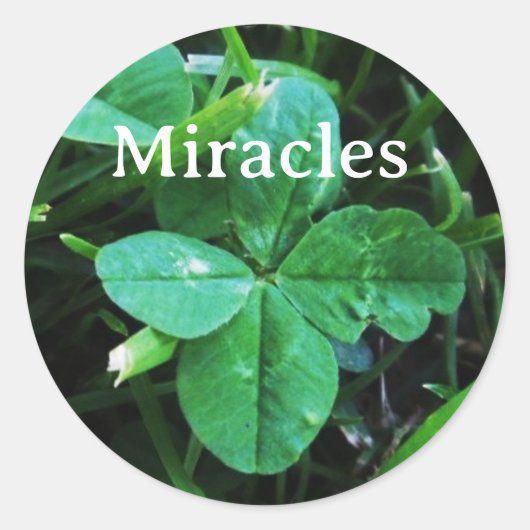 Sticker Mir (Voorkant)