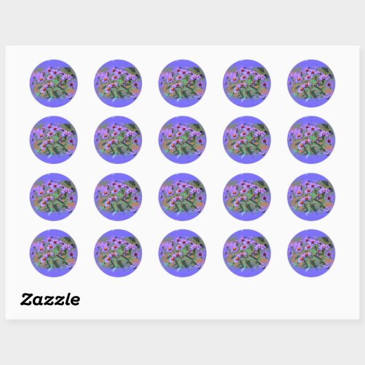 sticker paarse asters (Vel)