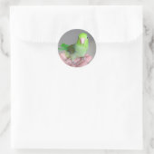 Sticker: Pacific Parrotlet Ronde Sticker (Tas)