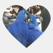 sticker _ parrots _ kus (Voorkant)