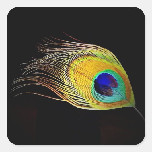 Sticker Peacock's Feather (Voorkant)