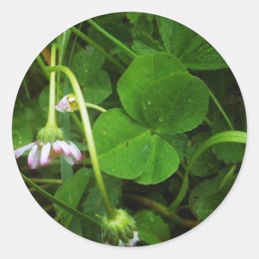 Sticker Porte-Dieu - Lucky Charm (Voorkant)