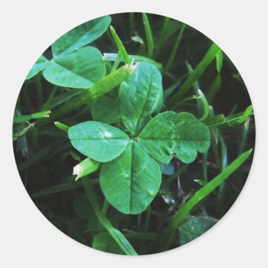 Sticker Porte-Happy (Voorkant)