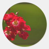 Sticker rode bloem (Voorkant)
