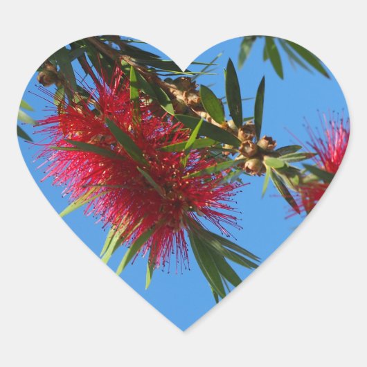 Sticker rode flessenborstelhart (Voorkant)