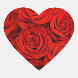Sticker-rode rozen hart sticker