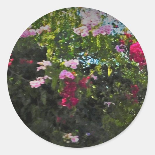 STICKER ROL (Voorkant)