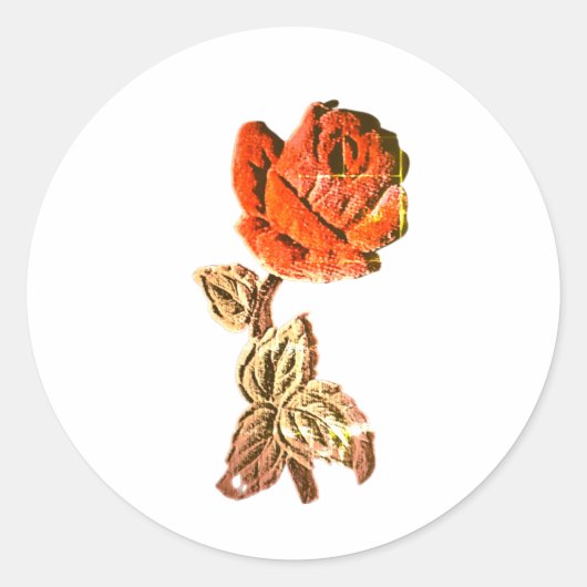 STICKER ROL (Voorkant)