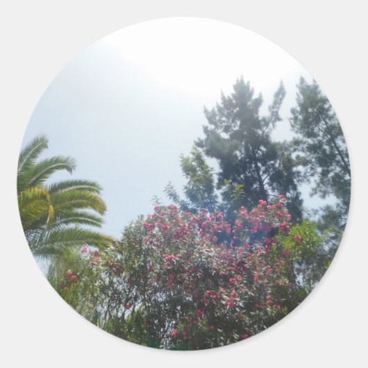 STICKER ROLL (Voorkant)