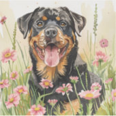 Sticker – Rottweiler Sticker (Voorkant)