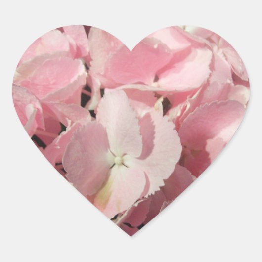 Sticker - Roze hydrangea (Voorkant)