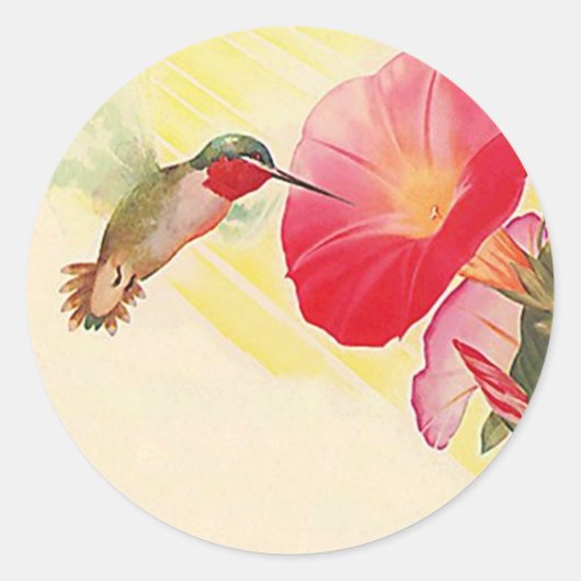 Sticker Ruby Throated Hummingbird @ Flowers Garden (Voorkant)