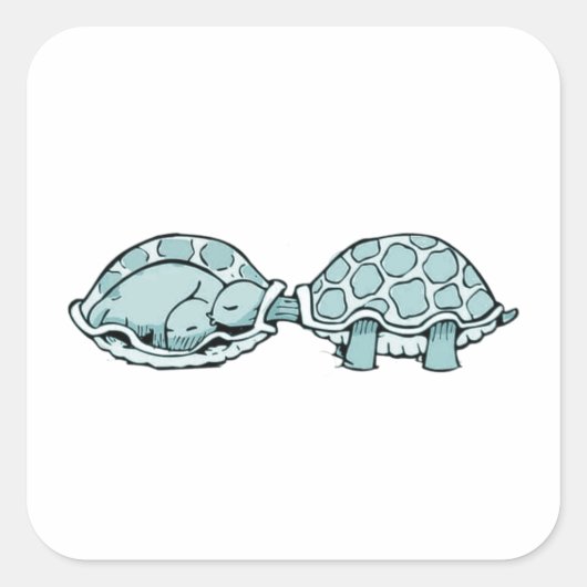 Sticker schildpad (Voorkant)