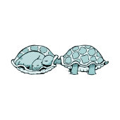 Sticker schildpad