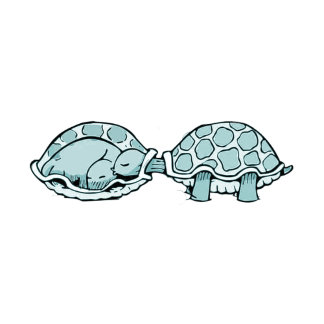 Sticker schildpad