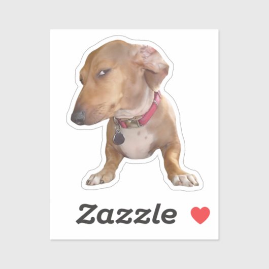 Sticker Side Eye Dog Meme (Vel)